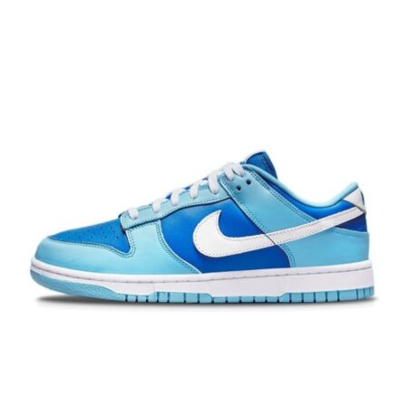 Nike Dunk Low 'Argon' Size 42 DM0121-400