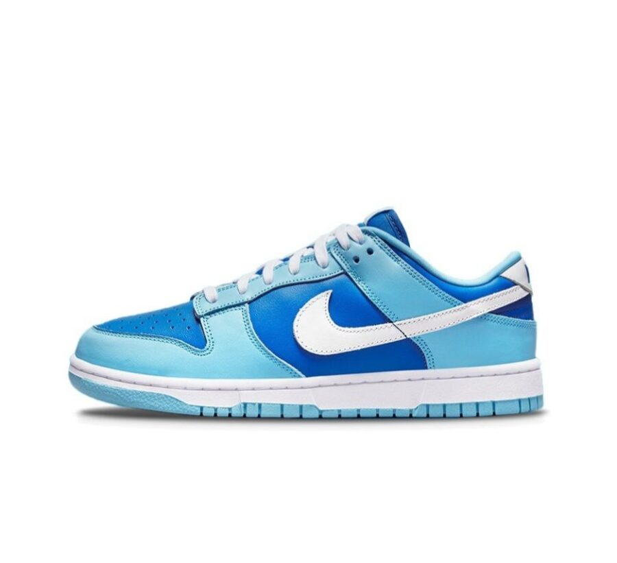 Nike Dunk Low 'Argon' Size 42 DM0121-400